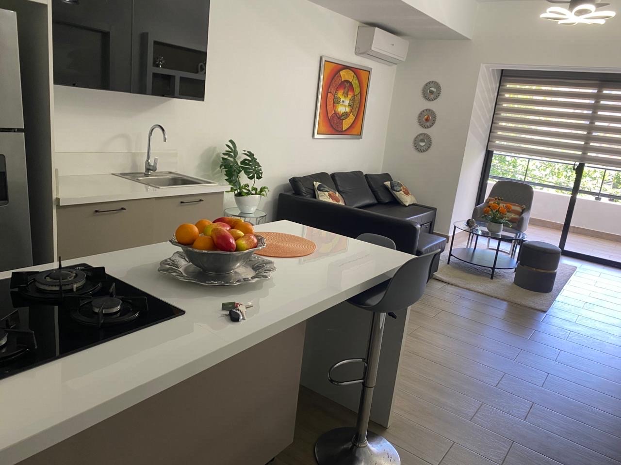 apartamentos - Se alquila hermoso apartamento amueblado en bella vista  2