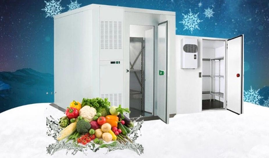 servicios profesionales - Instalación de cuarto frío de media y baja temperatura  2