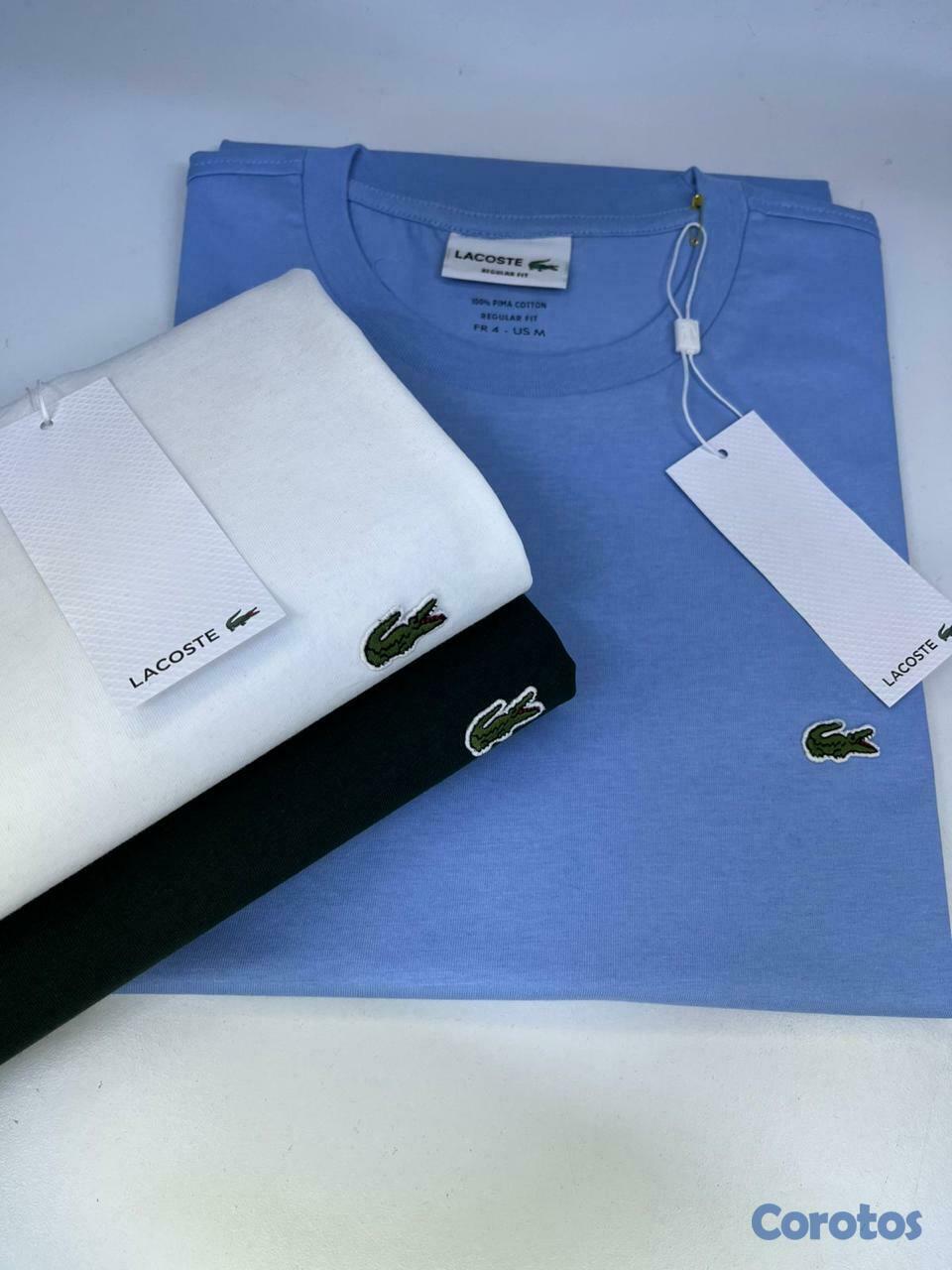 ropa para hombre - Polos Lacoste a precio de mayorista  1