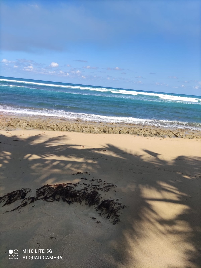 solares y terrenos - el mismo terreno en punta cana 
Ubero alto 
3,500,000 Mt2. 
Con 1 km. de p