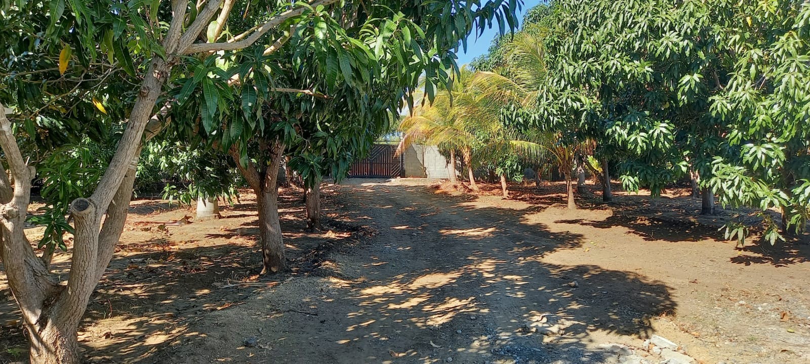 casas vacacionales y villas - Finca 10 tareas en Matanzas, Baní 