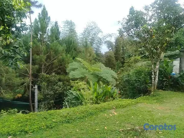 solares y terrenos - SE VENDE HERMOSA FINCA EN EL CACAO de San Cristoba 1
