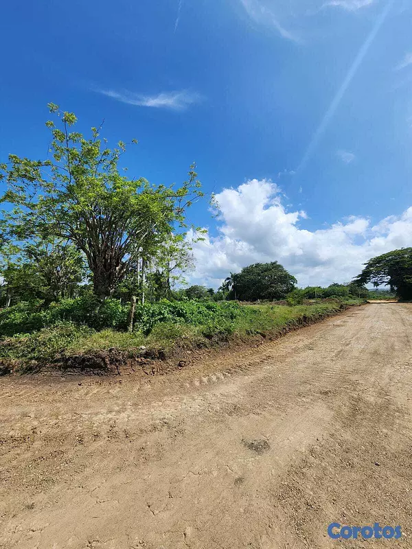 solares y terrenos - 🌿 Terrenos en Venta – Muñoz, Puerto Plata 📍 6