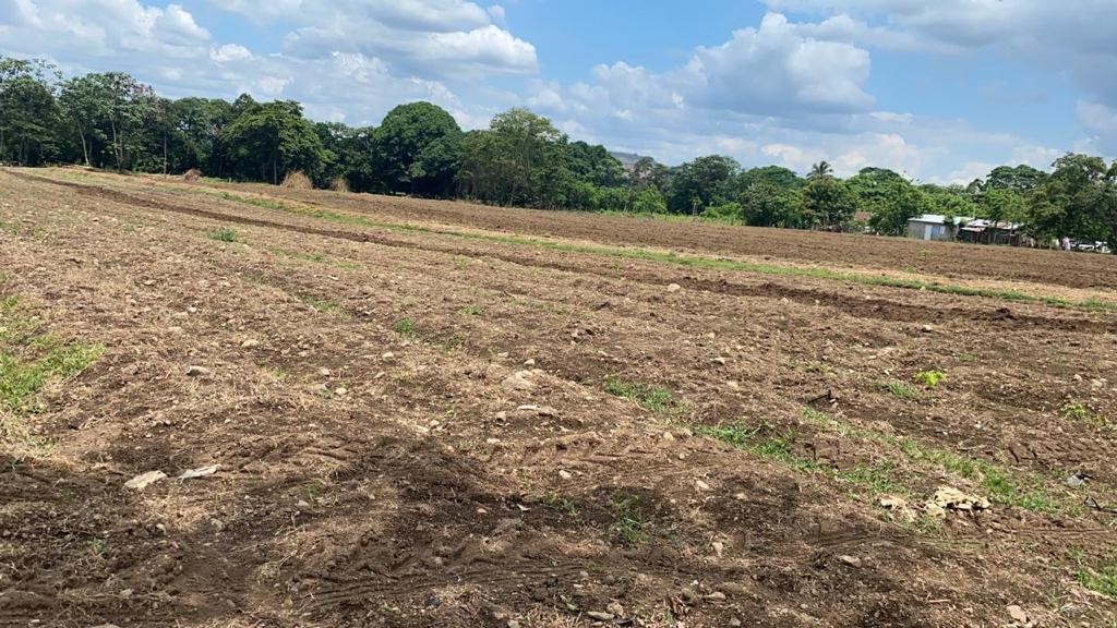solares y terrenos - Finca 289,340 mts en Bonao 1