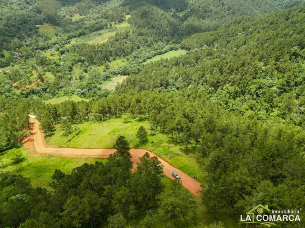 solares y terrenos - Solares en venta en Jarabacoa 0