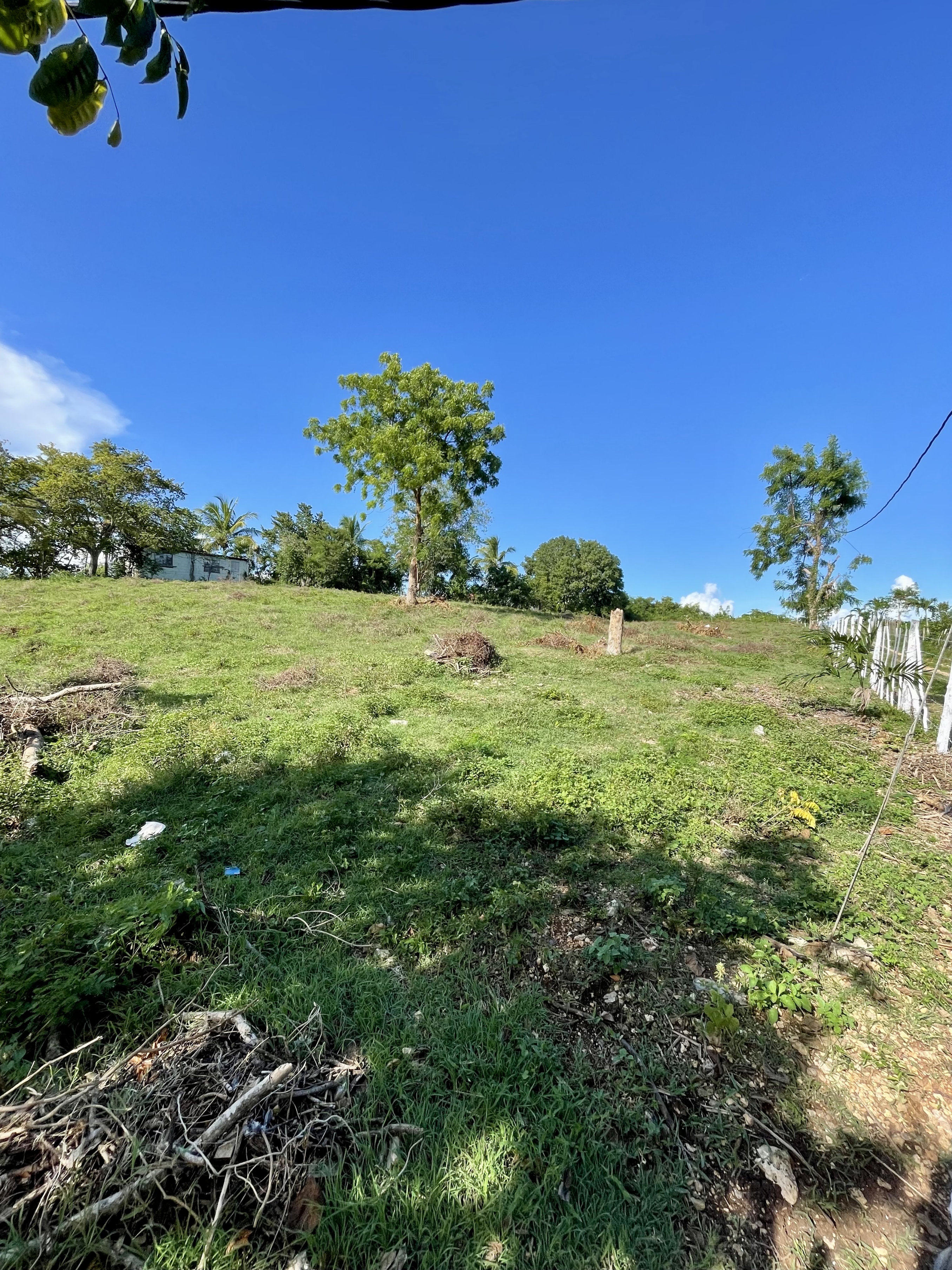 solares y terrenos - Terreno en Benerito - 12km de Bayahibe 0