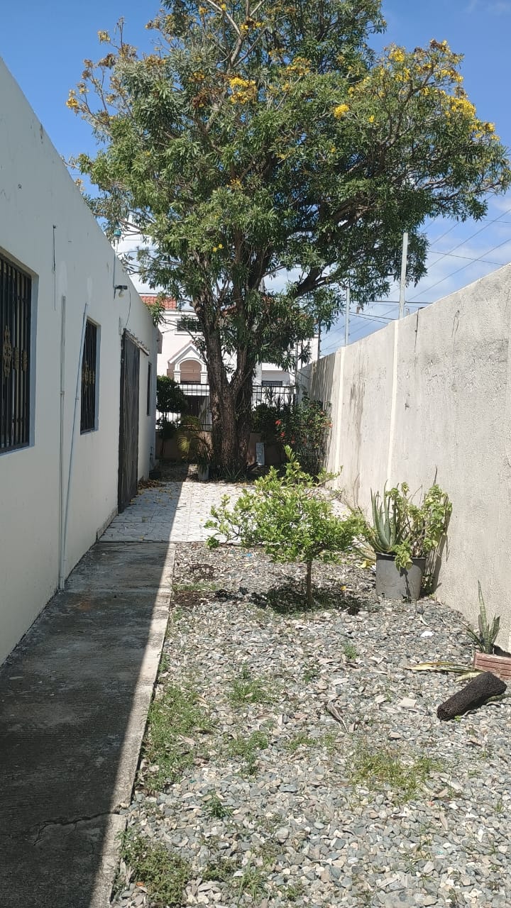 casas - Casas de Alquiler En la Jacobo Majluta  4