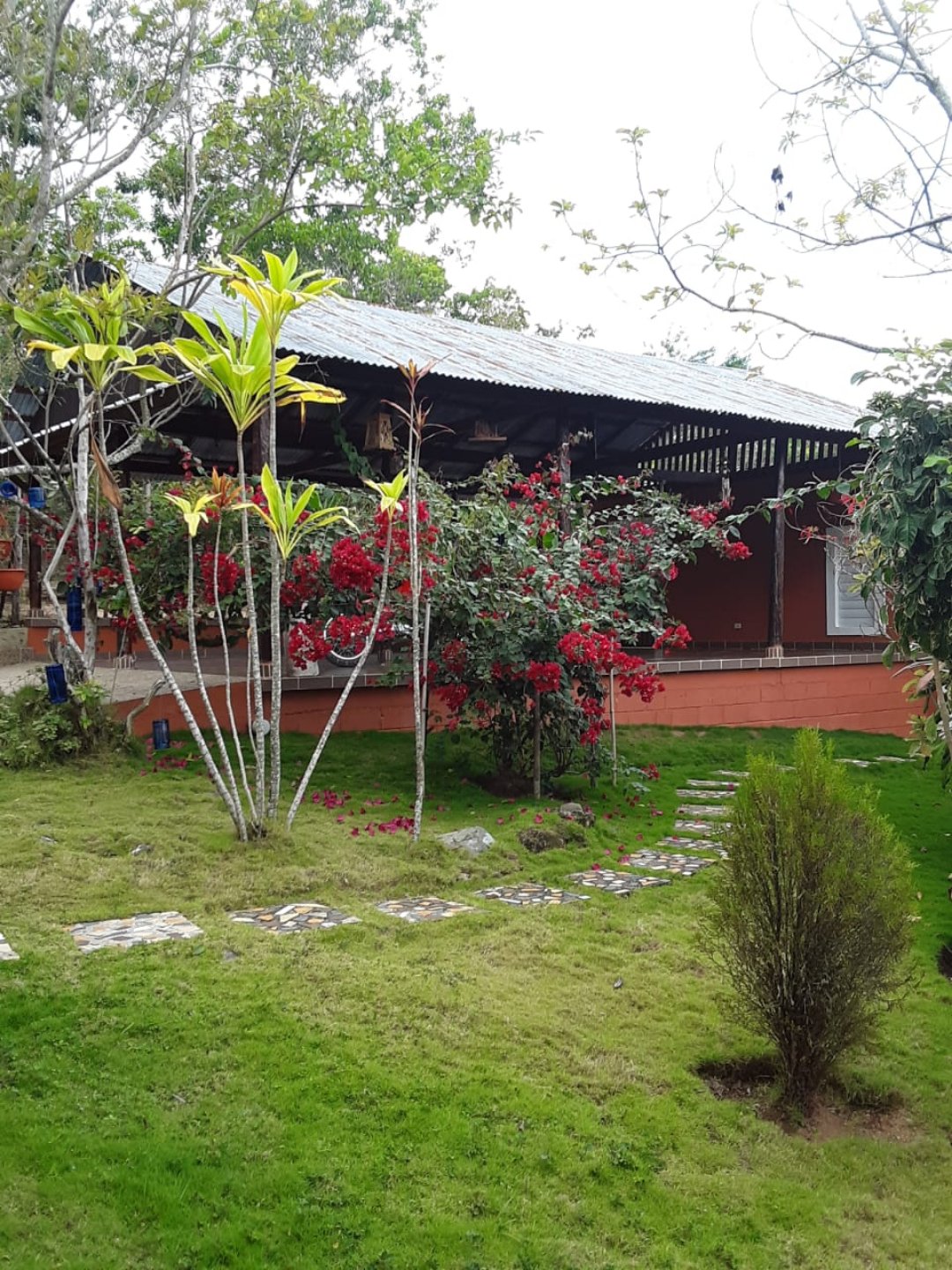 Cabaña rustica en una zona privilegiada de Jarabacoa