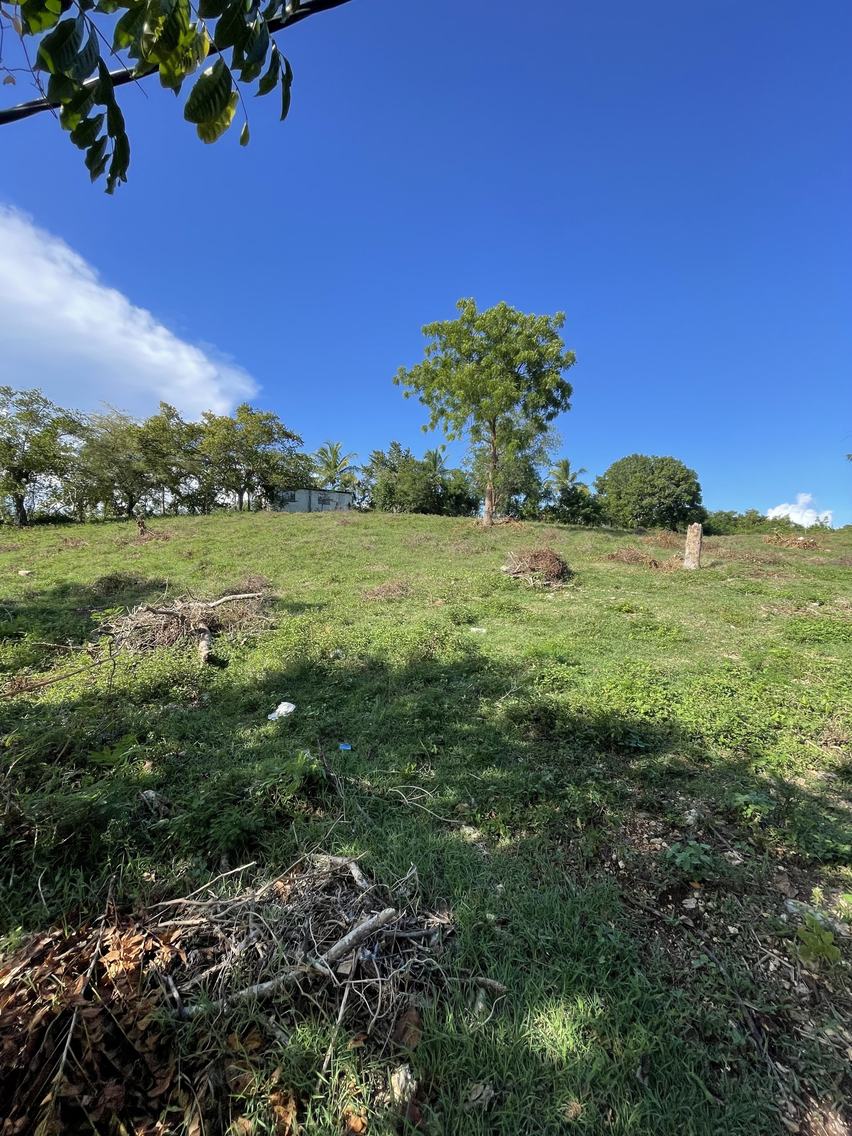 solares y terrenos - Terreno en Benerito - 12km de Bayahibe 1
