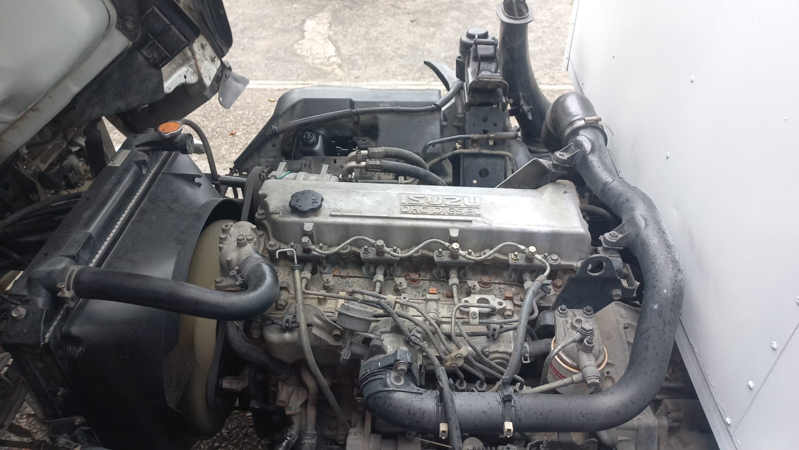 camiones y vehiculos pesados - Isuzu NPR año 2017 Blanco Furgon 3
