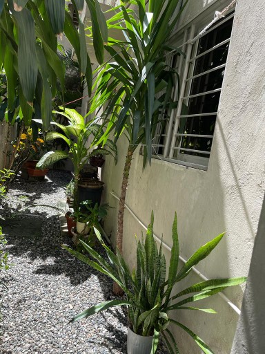 apartamentos - Vendo hermoso apartamento en Santo Domingo Oeste, 1er nivel con patio y balcón  8
