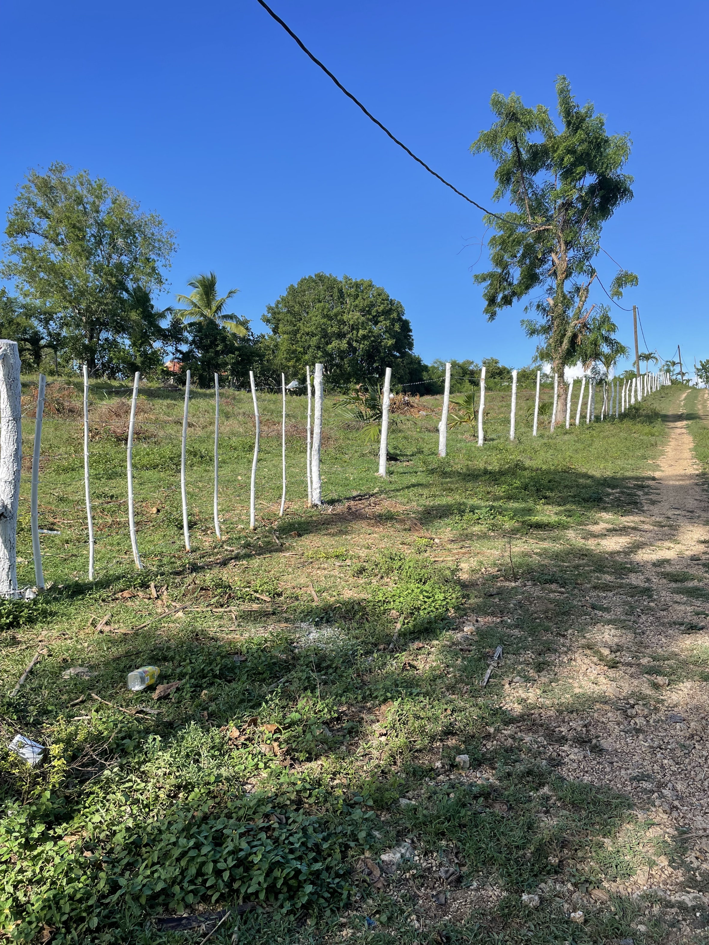 solares y terrenos - Terreno en Benerito - 12km de Bayahibe 3