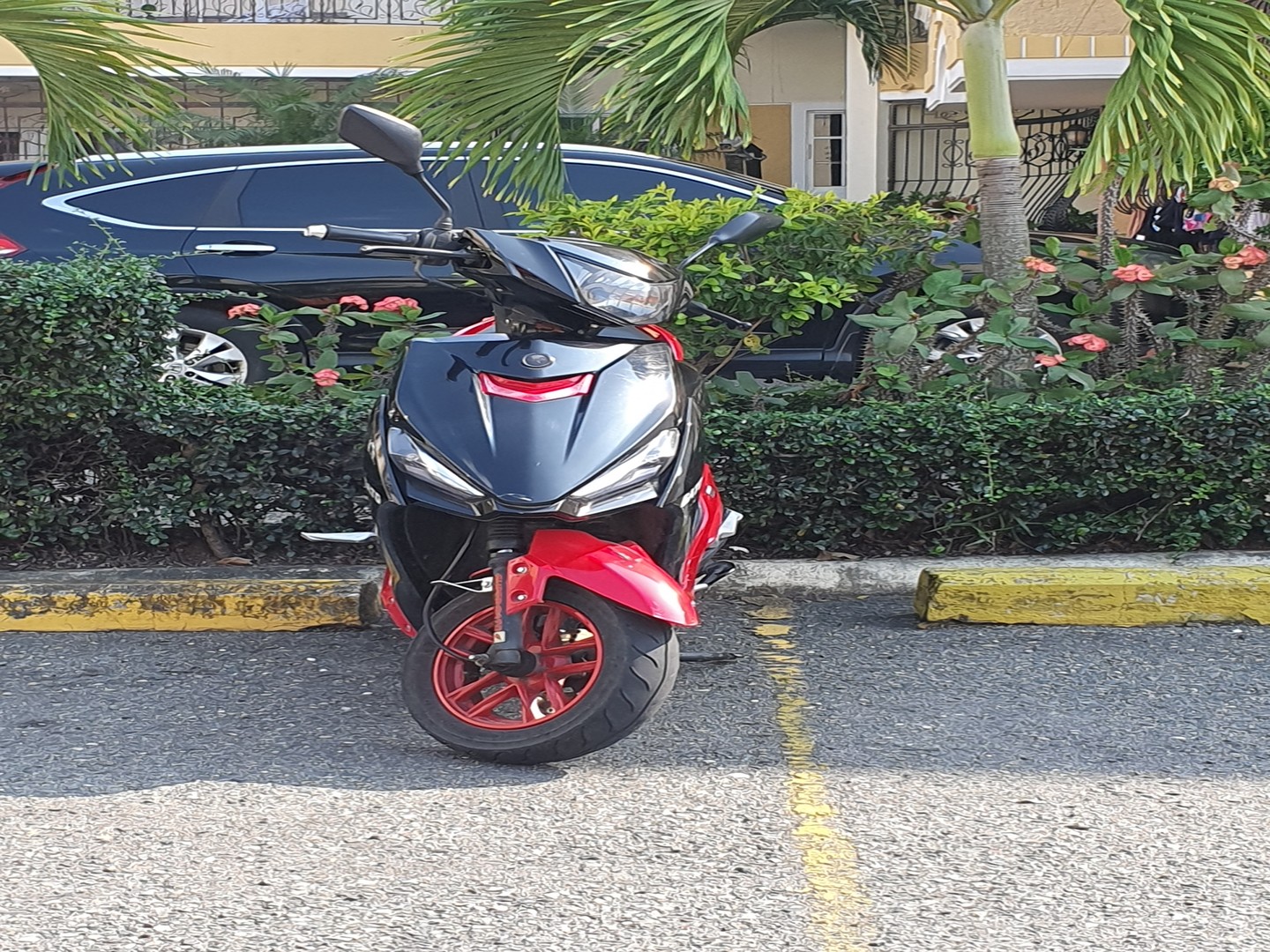 motores y pasolas - Pasola Super Gato FS-150 año 2022. ¡Excelentes condiciones!