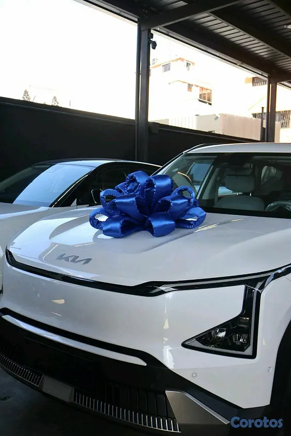 accesorios para vehiculos - lazos exclusivos para vehículos
 5