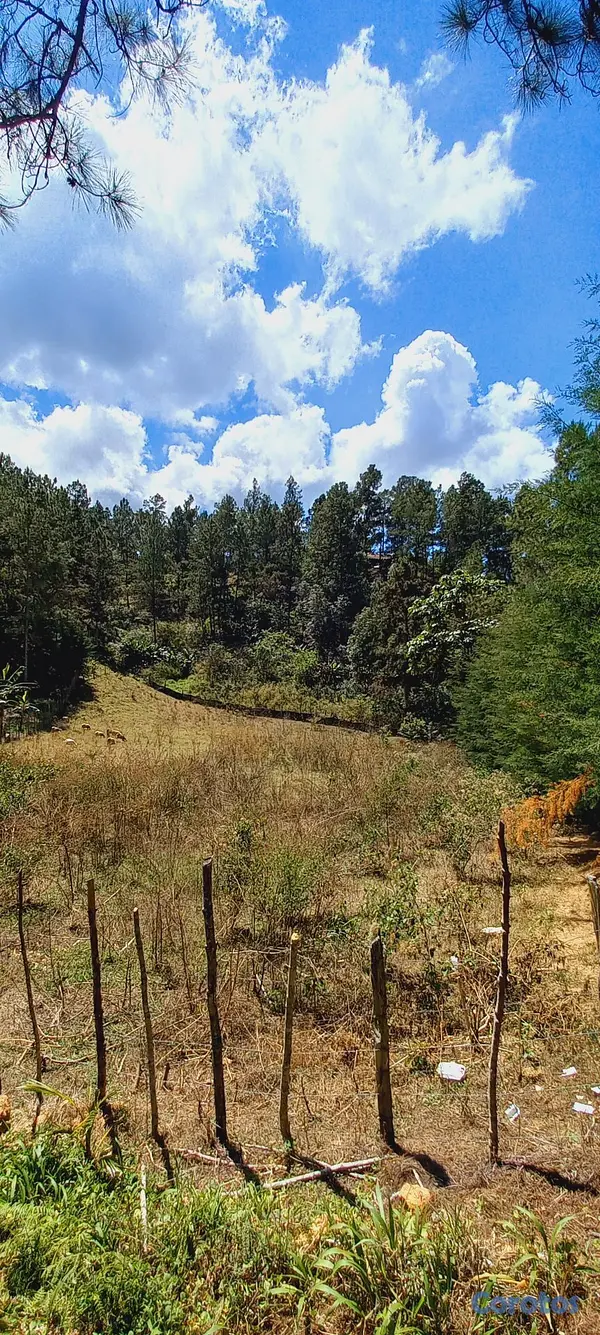 solares y terrenos - VENTA SOLAR EN CONSTANZA 8