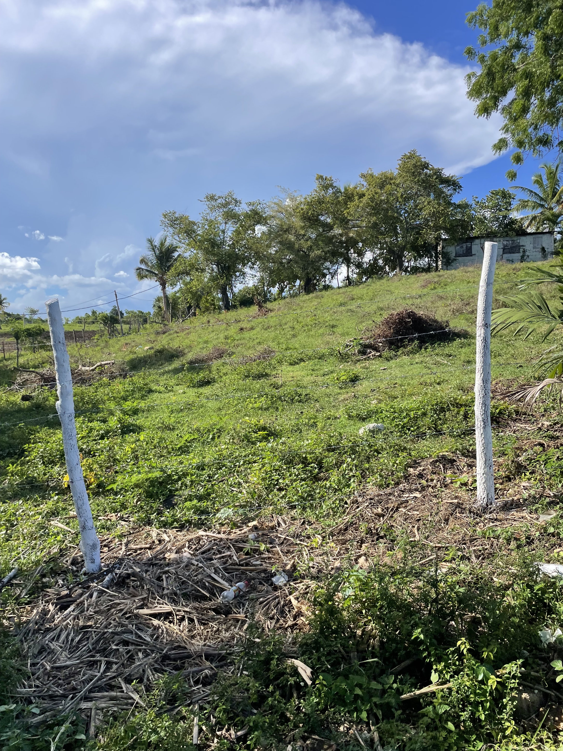 solares y terrenos - Terreno en Benerito - 12km de Bayahibe 4