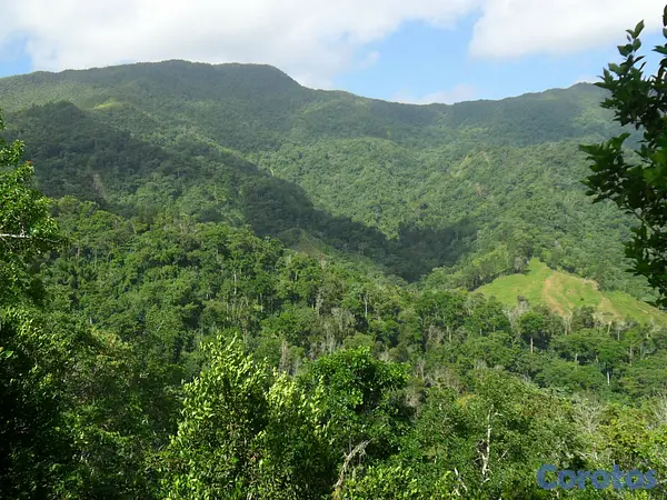 solares y terrenos - SE VENDE HERMOSA FINCA EN EL CACAO de San Cristoba 5