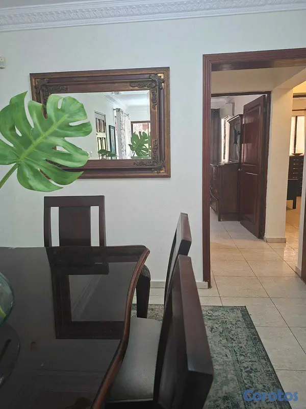 apartamentos - ALQUILER DE APARTAMENTO 2 HAB. AMUEBLADO - BELLA V 4