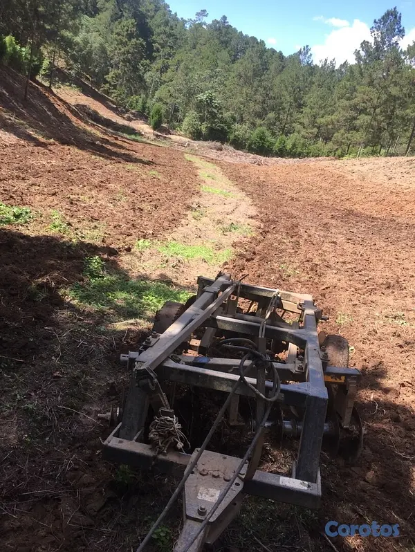 solares y terrenos - FINCA EN CONSTANZA 11