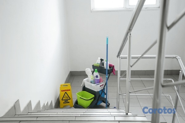 servicios profesionales - Mantenimiento y limpieza locales apartamentos y ar 1