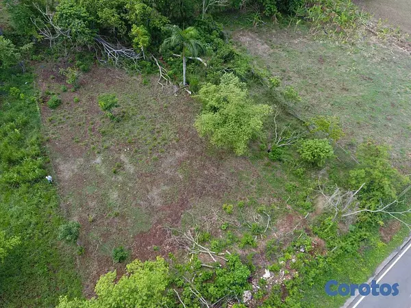 solares y terrenos - Solar en Venta Ubicado en Samaná, Las Galeras 4