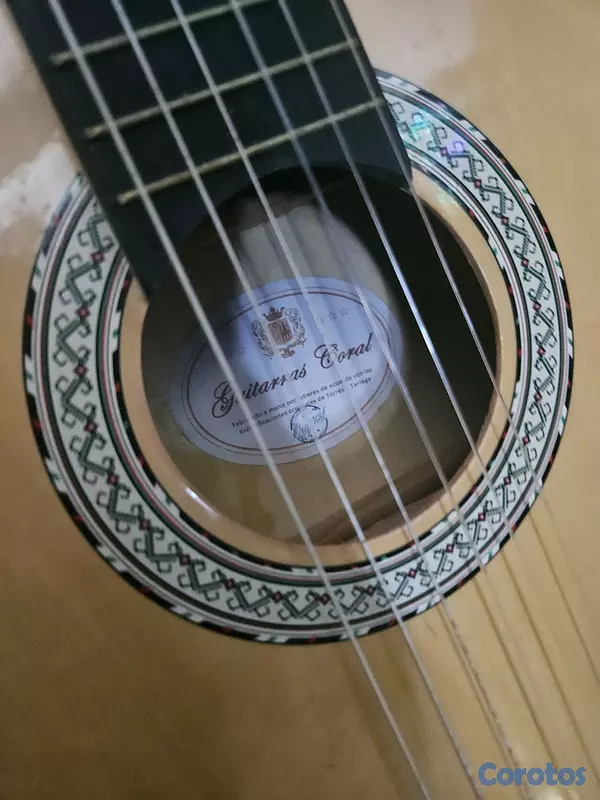 instrumentos musicales - guitarra coral 3