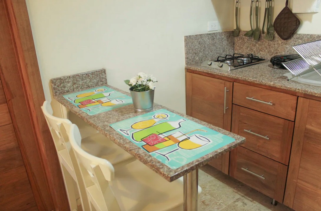 apartamentos - Alquiler Elegante Apartamento Amueblado de 1 Habitación, Zona Colonial 2