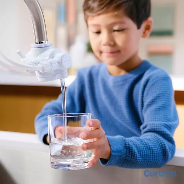 herramientas, jardines y exterior - SISTEMA DE TRATAMIENTO DE AGUA eSpring™ 5