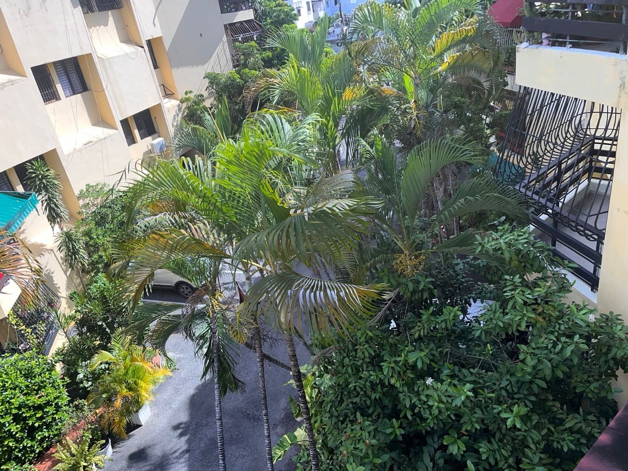 apartamentos - hermoso apartamento en zona céntrica en Gazcue  4
