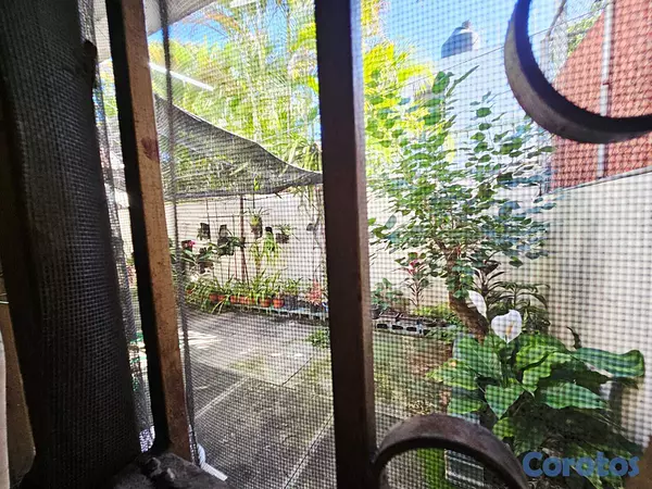 casas - Alquilo casa en Los Prados 6