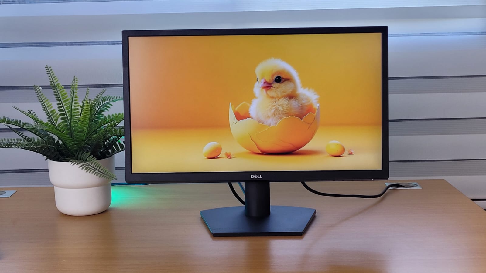 computadoras y laptops - Monitor Dell 22 PLG , HDMI ,  SE2222H 