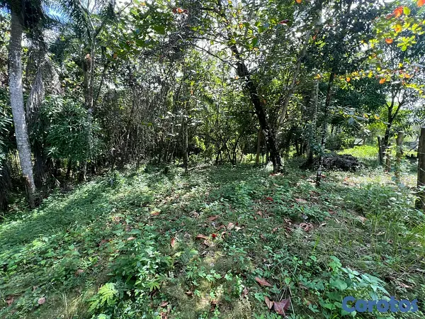 solares y terrenos - Solar Vacacional Matua KM22 Aut Duarte, La Cuaba 7