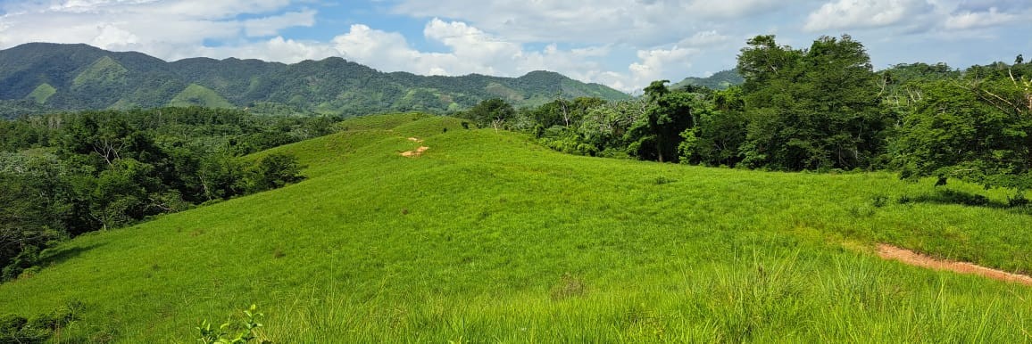 solares y terrenos - Finca en Nisibon de 3mil tareas ganadera y sembrado de Coco