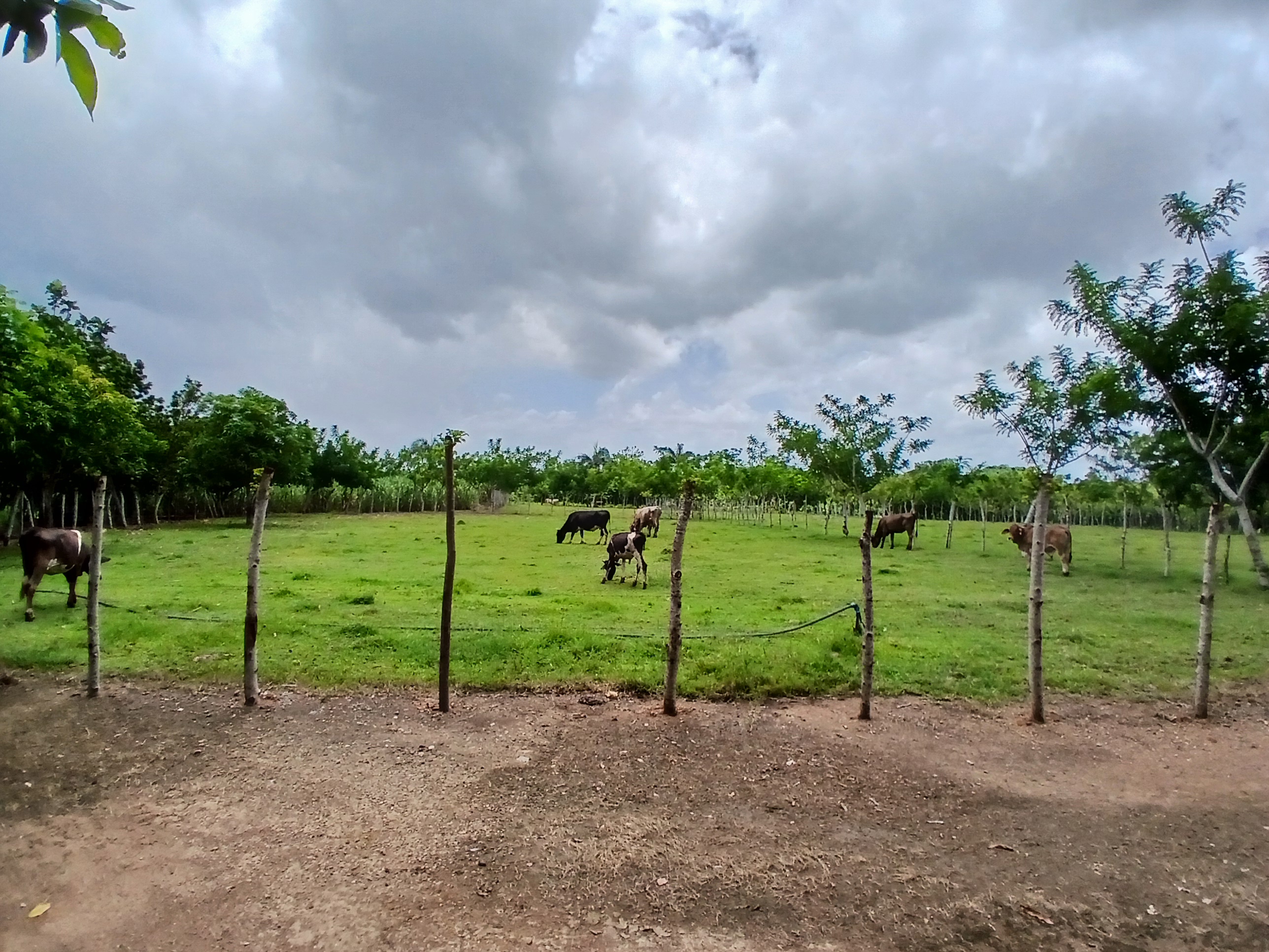 solares y terrenos - Finca  10