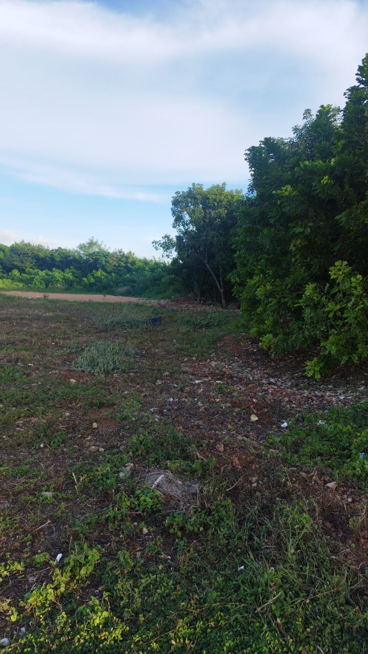 solares y terrenos - Solar comercial en la Avenida Ecológica  3