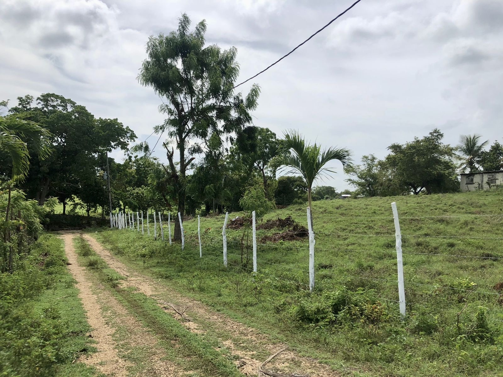 solares y terrenos - Terreno en Benerito - 12km de Bayahibe 7