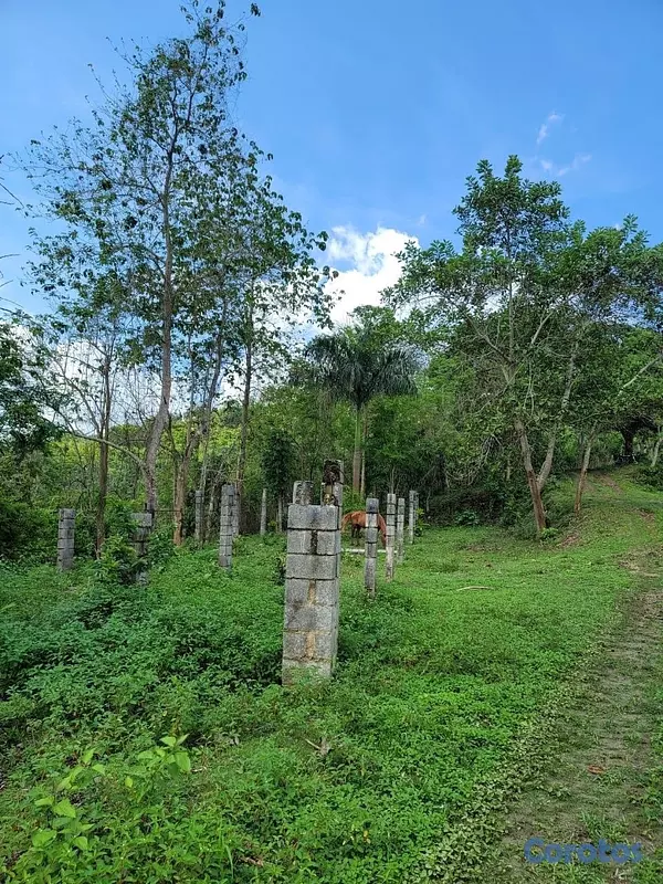 solares y terrenos - Vendo Finca en Yamasa, Monteplata 4
