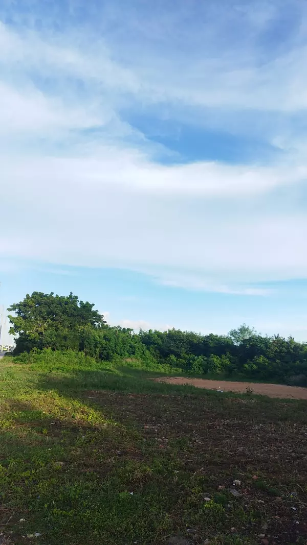 solares y terrenos - Solar comercial en la Avenida Ecológica  4