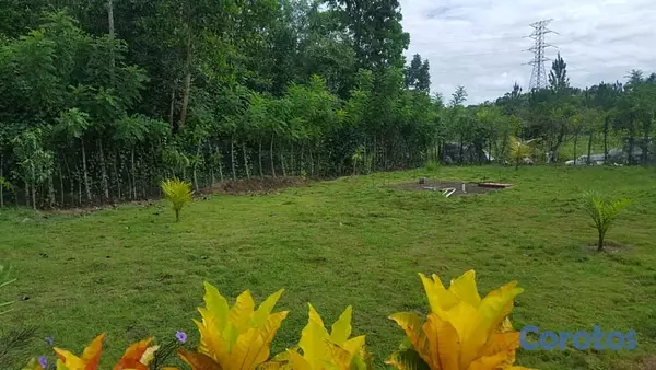 solares y terrenos - finca de 14 tareas en Monte Plata  6