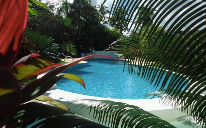 casas - Villa de 3 Habitaciones con piscina próximo a la Playa Ballenas, Las Terrenas