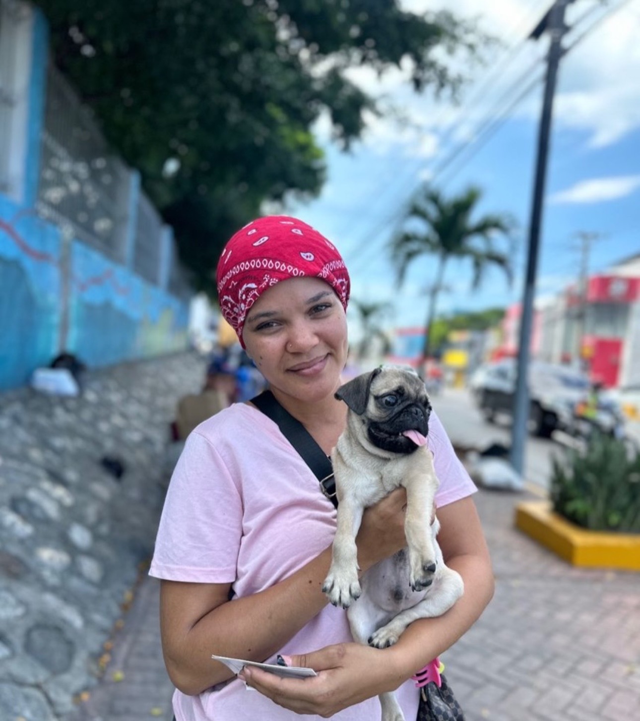 animales y mascotas - La raza que buscas aquí la encuentras  4