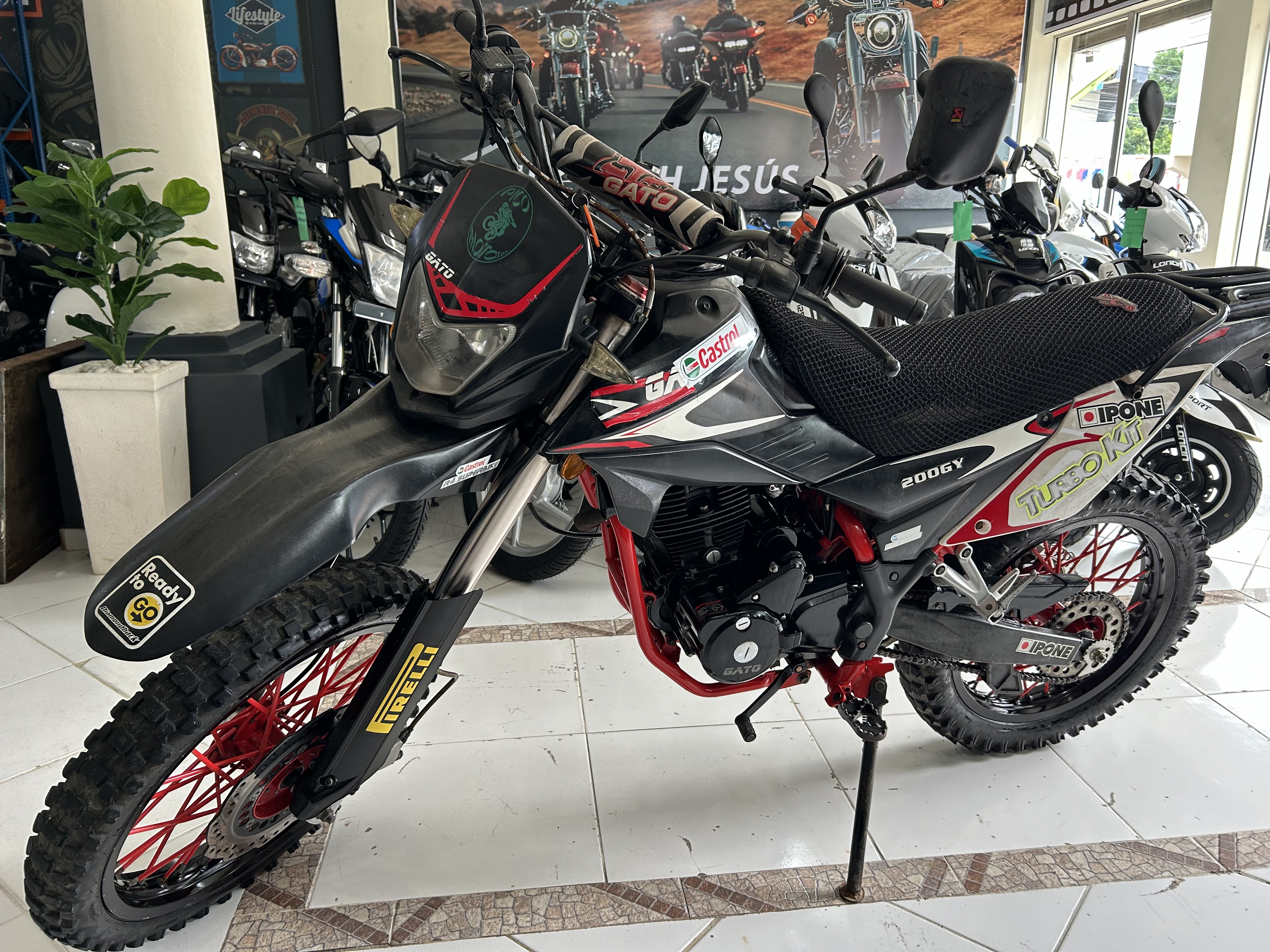motores y pasolas - Gato 200 GY año 2018 0