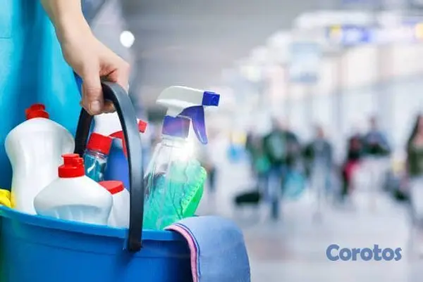 servicios profesionales - Limpieza profunda a domicilio profesional  2