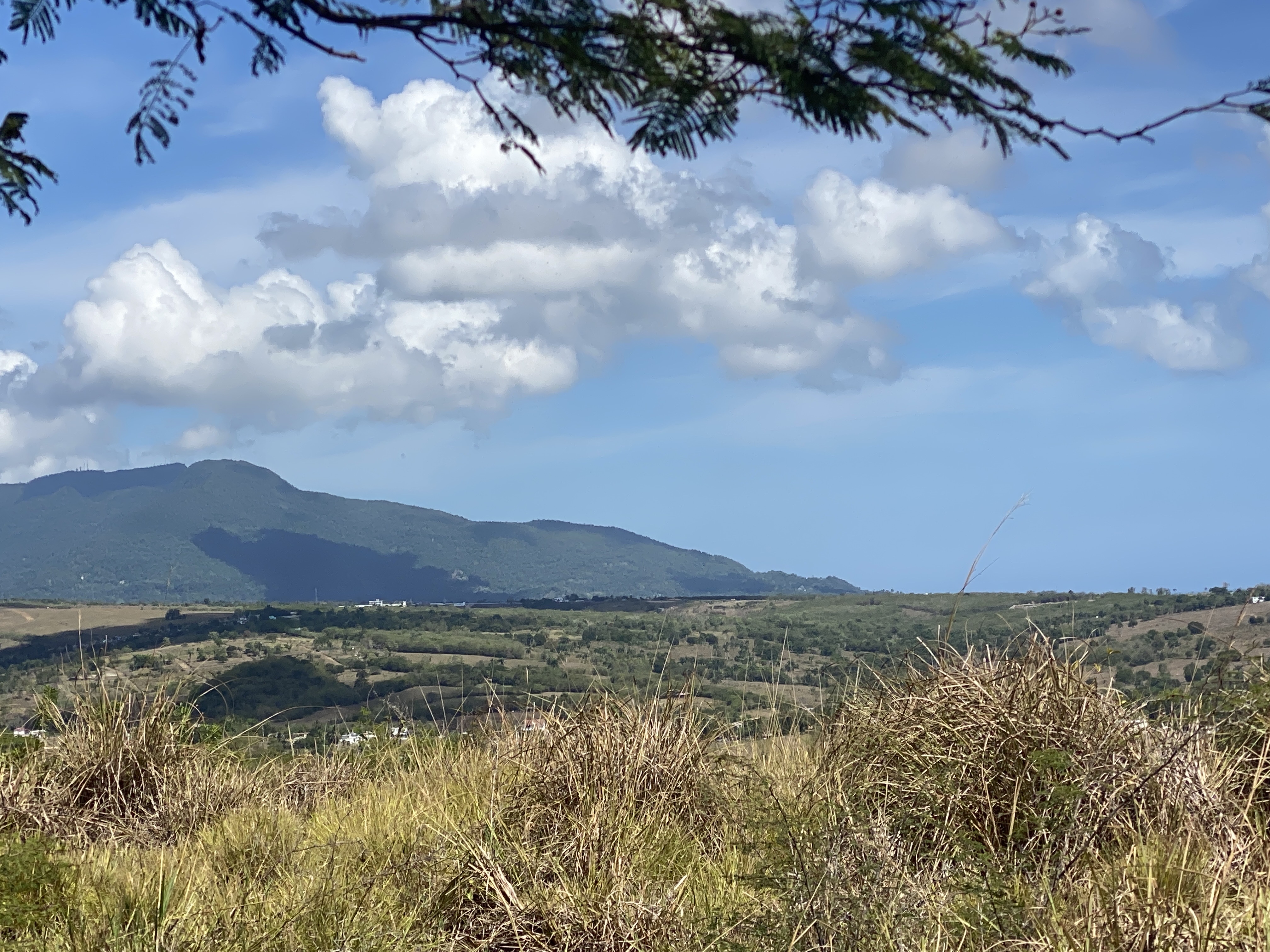 solares y terrenos - solares con vista al mar Pto Plta  9