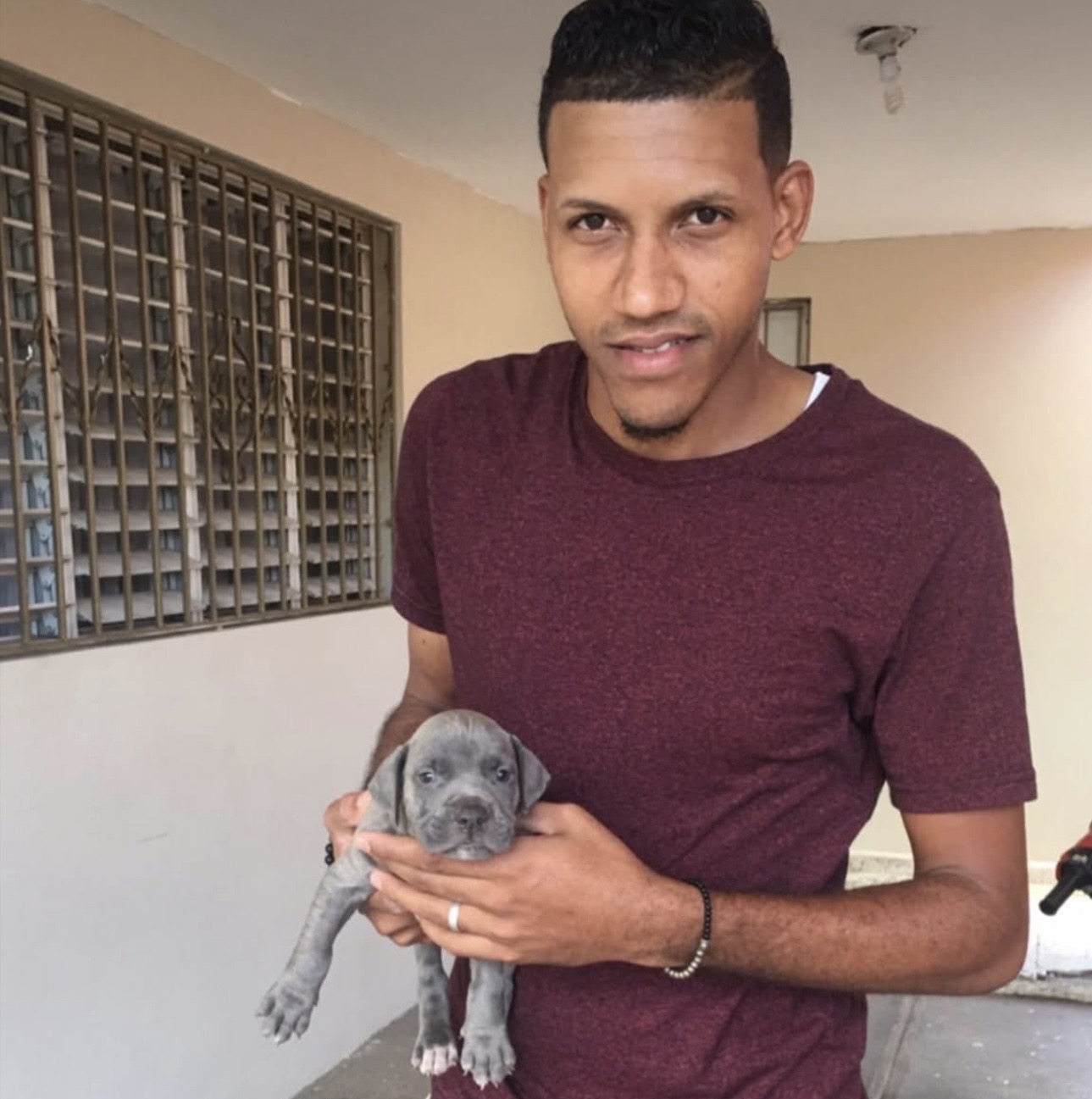 animales y mascotas - La raza que buscas aquí la encuentras  6