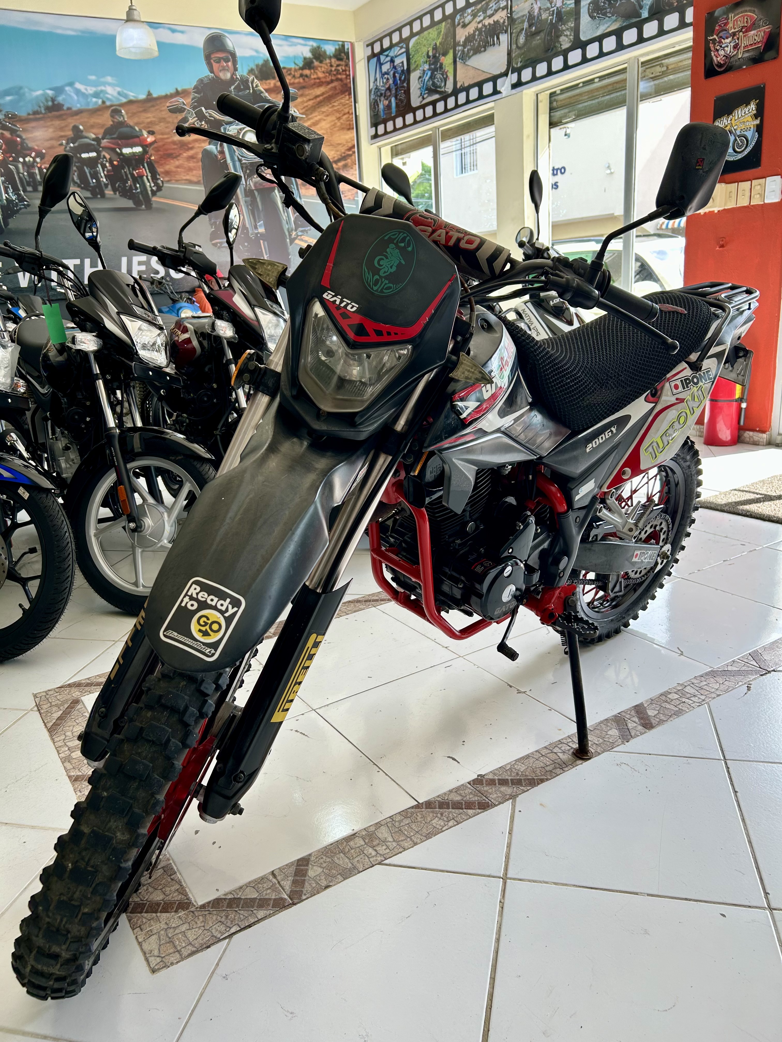 motores y pasolas - Gato 200 GY año 2018 3