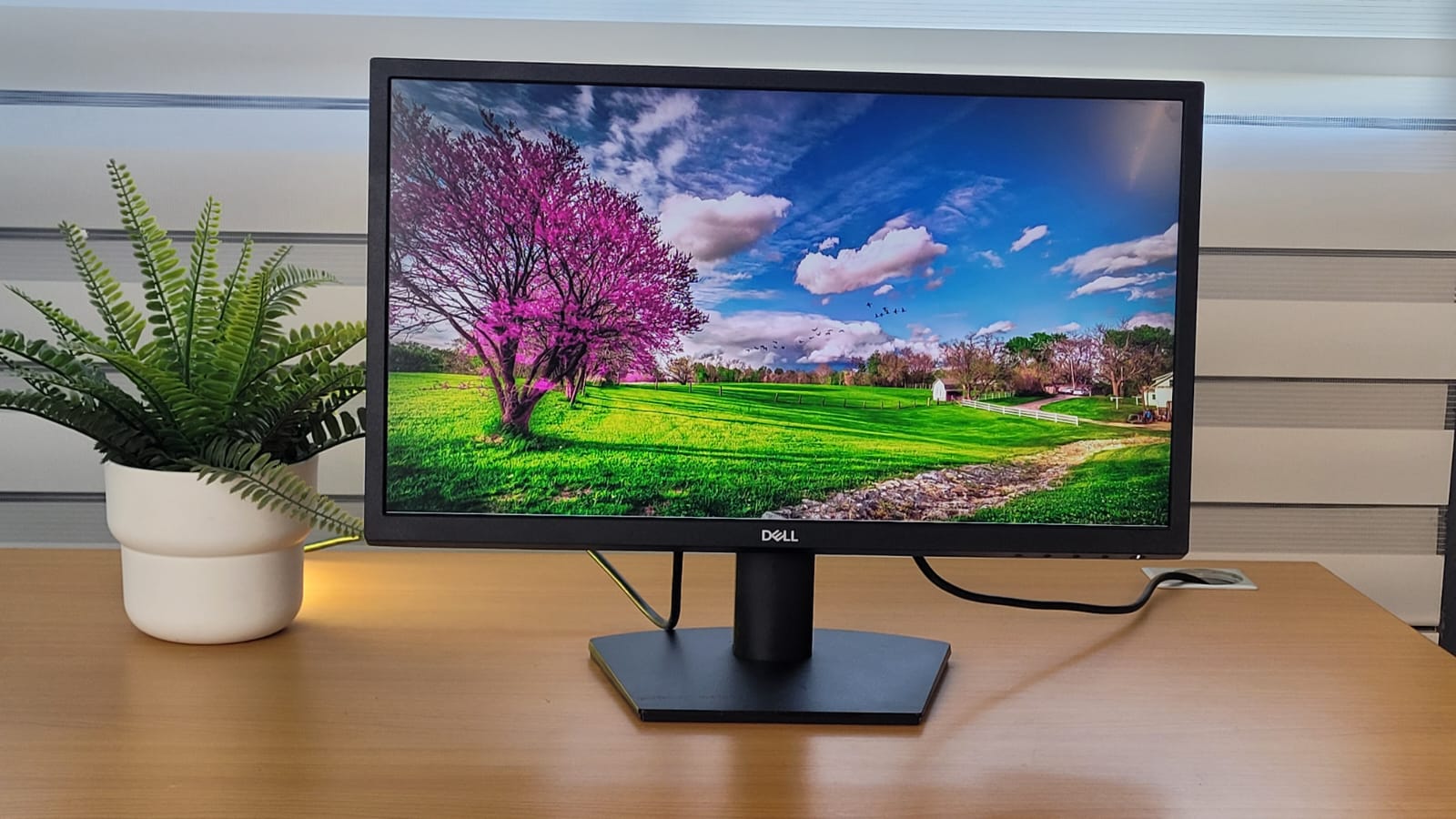 computadoras y laptops - Monitor Dell 22 PLG , HDMI ,  SE2222H  2