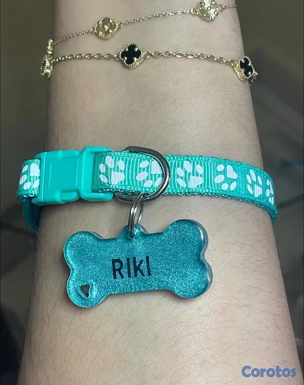 animales y mascotas - Collares y Chapillas personalizadas para mascotas  6