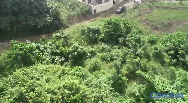 solares y terrenos - 🏡 Solar en Venta en Residencial Engombe, Santo Domingo Oeste 5