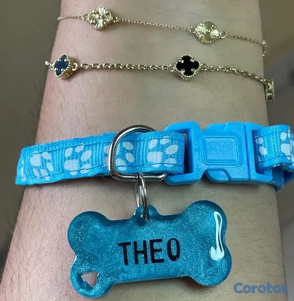 animales y mascotas - Chapillas y collares personalizados para perros y gatos 4